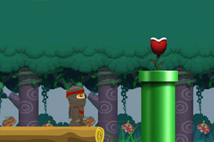 忍者闯马里奥世界