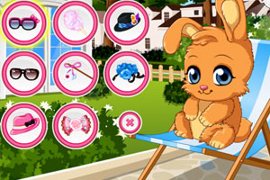 照顾流浪的兔子