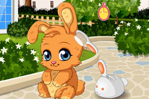 照顾流浪的兔子