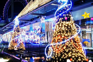 欢乐新年找数字