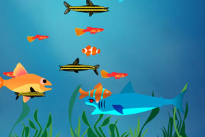 大鱼吃小鱼双人版
