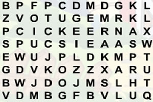 农场单词找找看