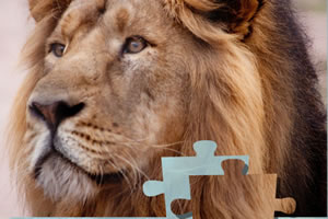 狮子拼图