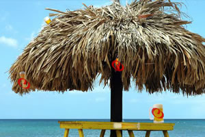 沙滩啤酒找找看