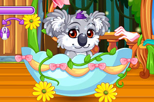 照顾受伤的小考拉