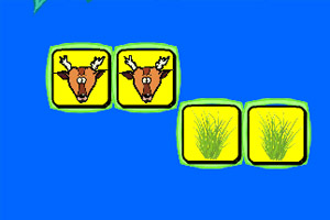 国家公园之斗兽棋