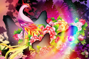 隐藏的星之凤凰