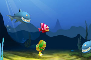 小鱼的进化之路