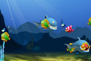 小鱼的进化之路