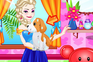 艾尔莎照顾流浪狗