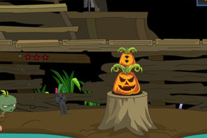 被困的猫头鹰逃生