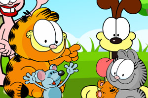 加菲猫觅食之旅