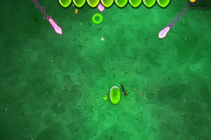 超级病毒战士无敌版