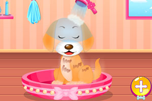 宠物小狗看医生