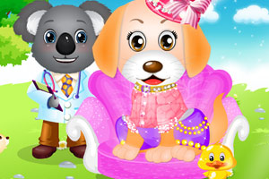 宠物小狗看医生