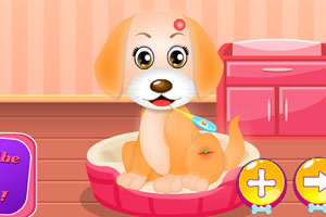 宠物小狗看医生