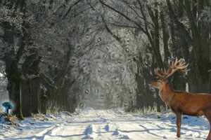 逃出寒冬大森林2