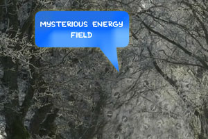 逃出寒冬大森林2