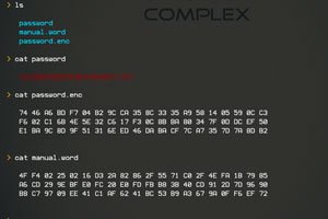 键盘侦探中文版