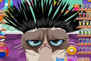 愤怒的猫咪发型设计