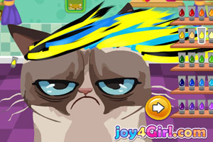 愤怒的猫咪发型设计