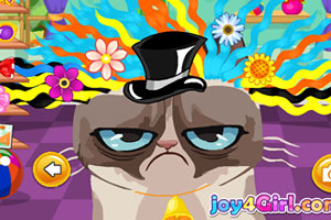 愤怒的猫咪发型设计