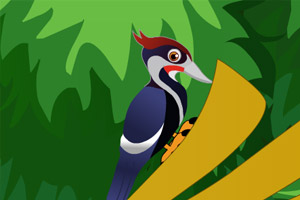 古镇荒村寻宝逃生