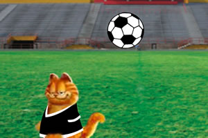 加菲猫的赛前准备