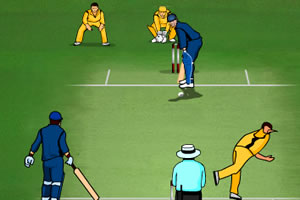 板球争霸排名赛