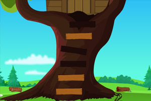 帮助花园里的鸟逃脱