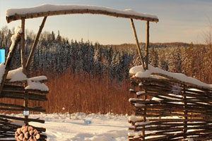 逃出寒冬大森林