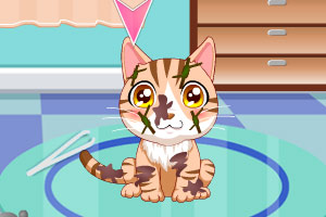 艾尔莎照顾宠物猫