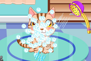 艾尔莎照顾宠物猫