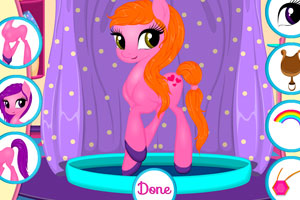 照顾可爱的彩虹天马