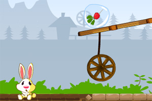 喂小动物吃东西