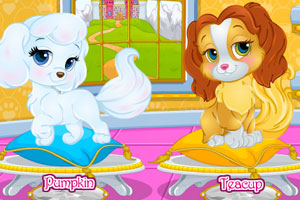 芭比宝贝的宠物大赛