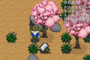 盗贼传说中文版