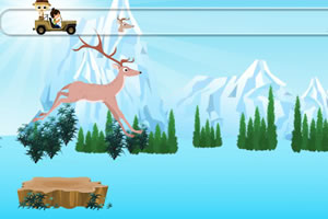 喀什米尔鹿生存