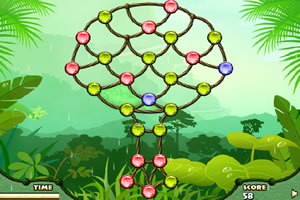 热带雨林对对碰