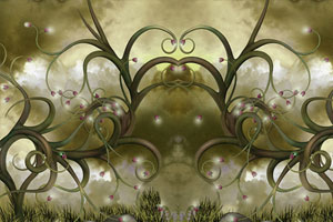 迷失的咒语森林