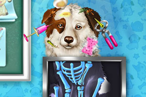 宠物狗骨折急救