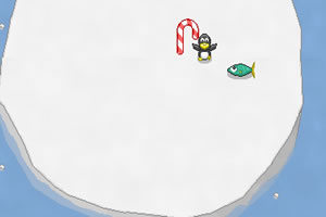 喂企鹅宝宝吃鱼