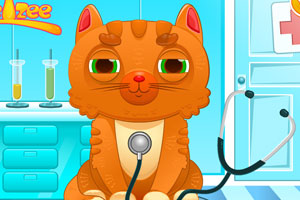 可爱小猫看医生