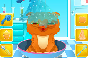 可爱小猫看医生