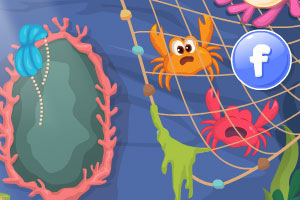 人鱼公主的新房