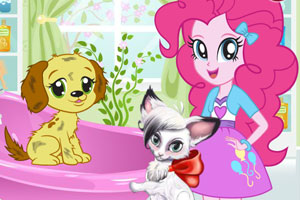 可爱小狗换春装