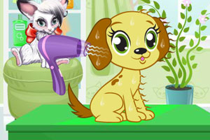 可爱小狗换春装