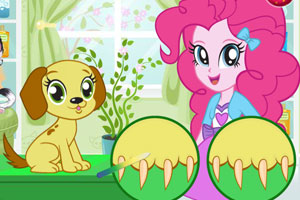 可爱小狗换春装