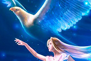 幻想天堂鸟找星星