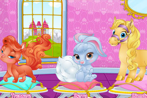 芭比宝贝的宠物大赛2